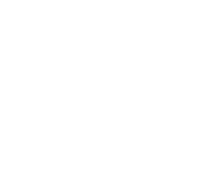 Archaeological Services