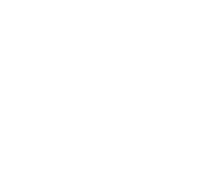 Ecology Service