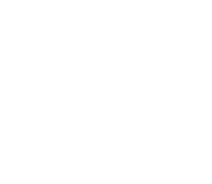 Financial Investigation Service